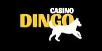 casino-dingo
